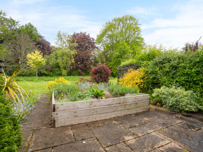 Picture 14